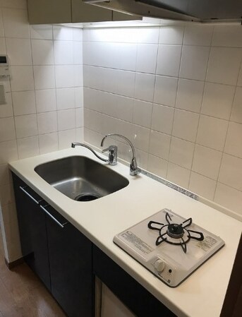 ファミール芝公園グランスイートラ・ヴィルの物件内観写真